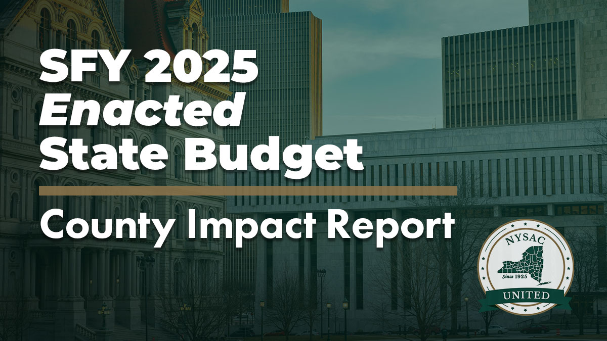 Image of SFY 2025 Enacted State Budget Impact Report
