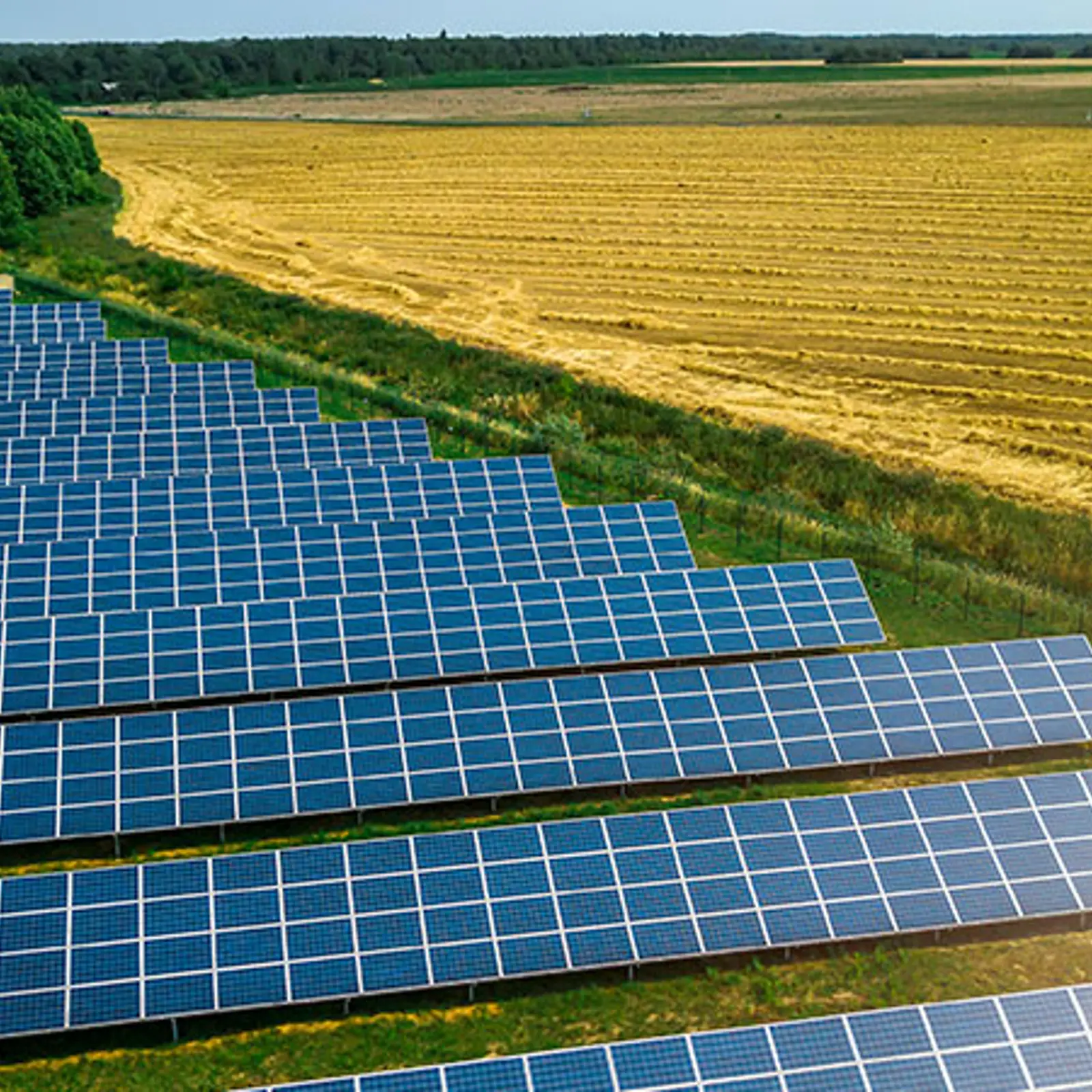 NYSAC Releases Report on Renewable Energy Siting
