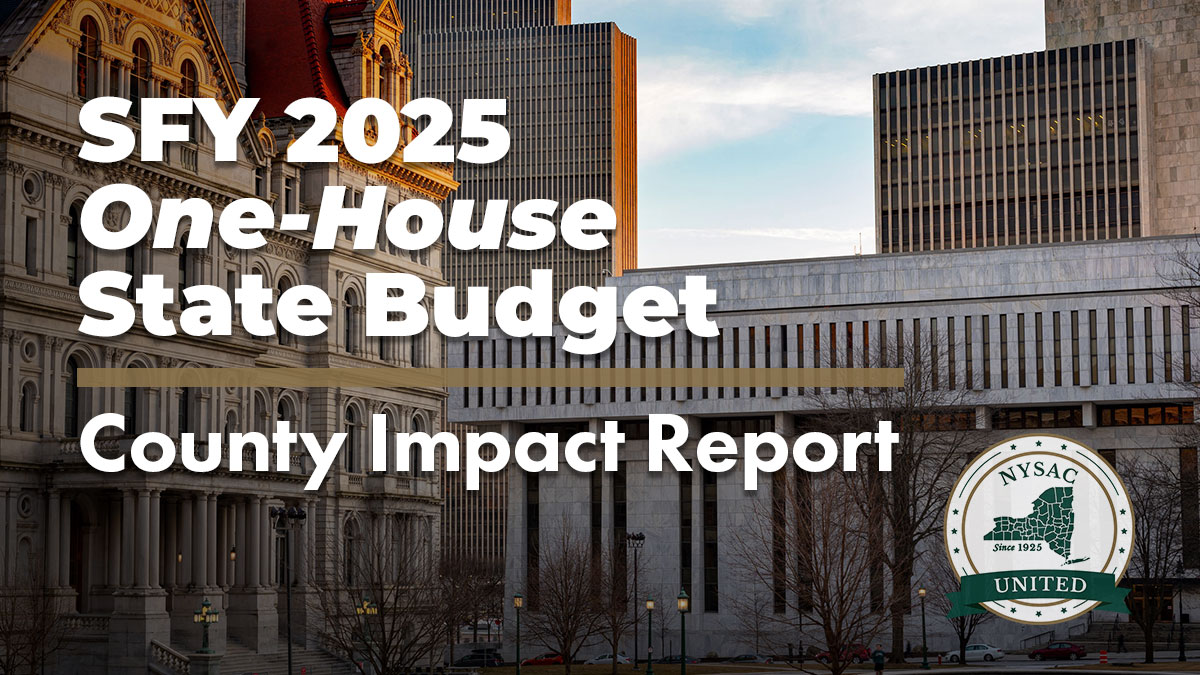 Image of SFY 2025 One-House Budgets County Impact Report