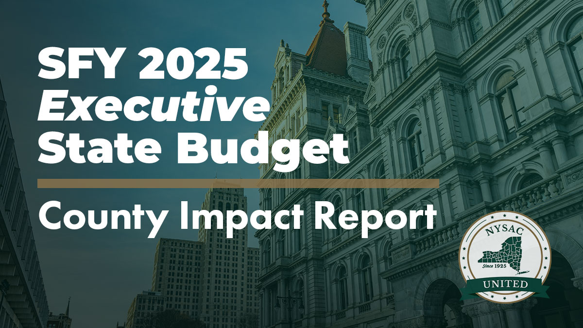Image of NYSAC Releases SFY 2025 Executive Budget Impact Report