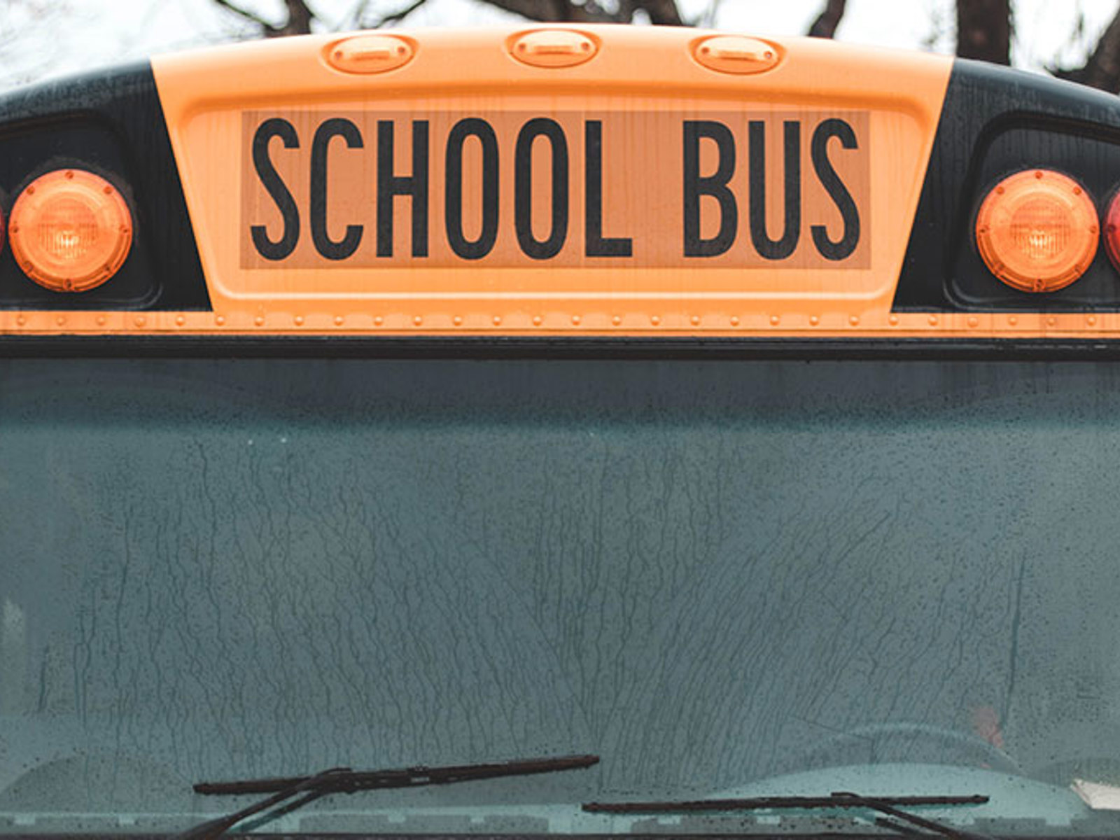 Public Safety New York State Association of Counties